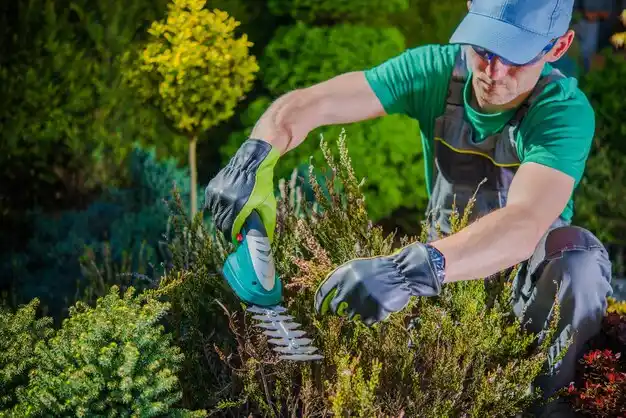landscaping services Moline Acres